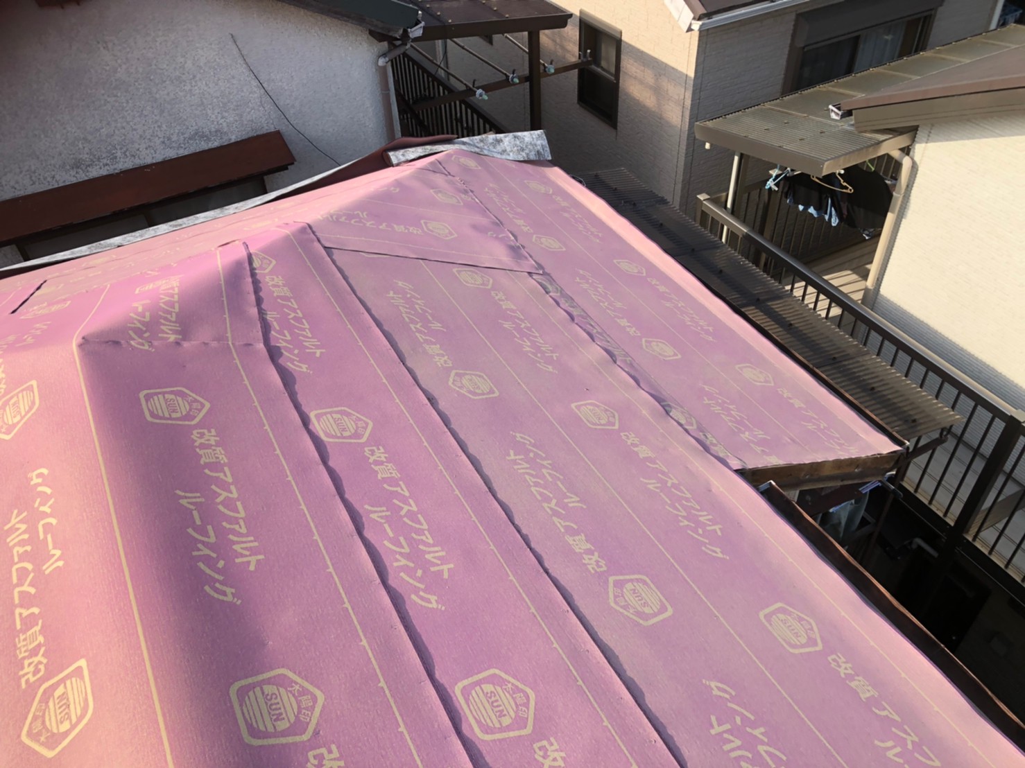 リッジウェイアーストシーダー